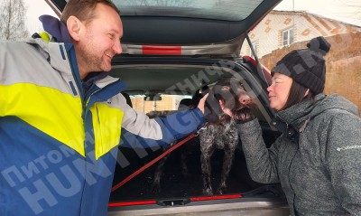 Новые владельцы